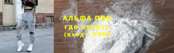 эйфоретик Гусь-Хрустальный