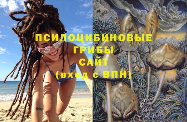 трава Гусев