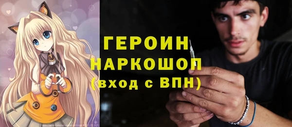 эйфоретик Гусь-Хрустальный