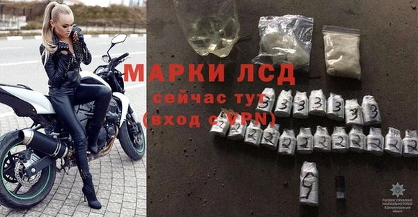 трава Гусев