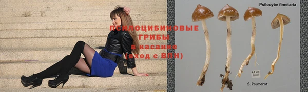 эйфоретик Гусь-Хрустальный