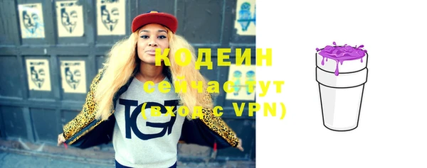 эйфоретик Гусь-Хрустальный