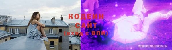 эйфоретик Гусь-Хрустальный