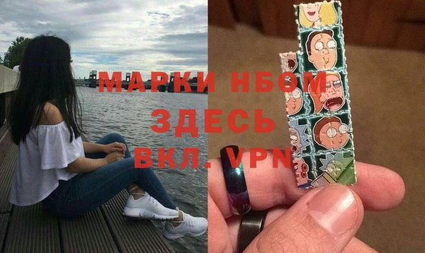 эйфоретик Гусь-Хрустальный