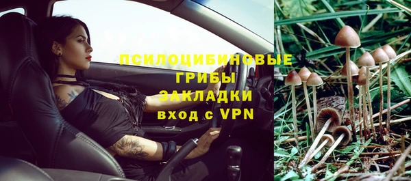 каннабис Гусиноозёрск