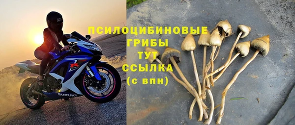 эйфоретик Гусь-Хрустальный