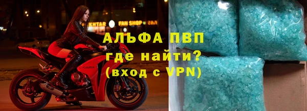 эйфоретик Гусь-Хрустальный