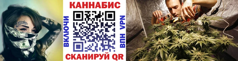 Купить где  Чекалин  Шишки марихуана Amnesia 